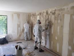 Why You Should Choose Our Mold Remediation Services in Blackhawk, CA